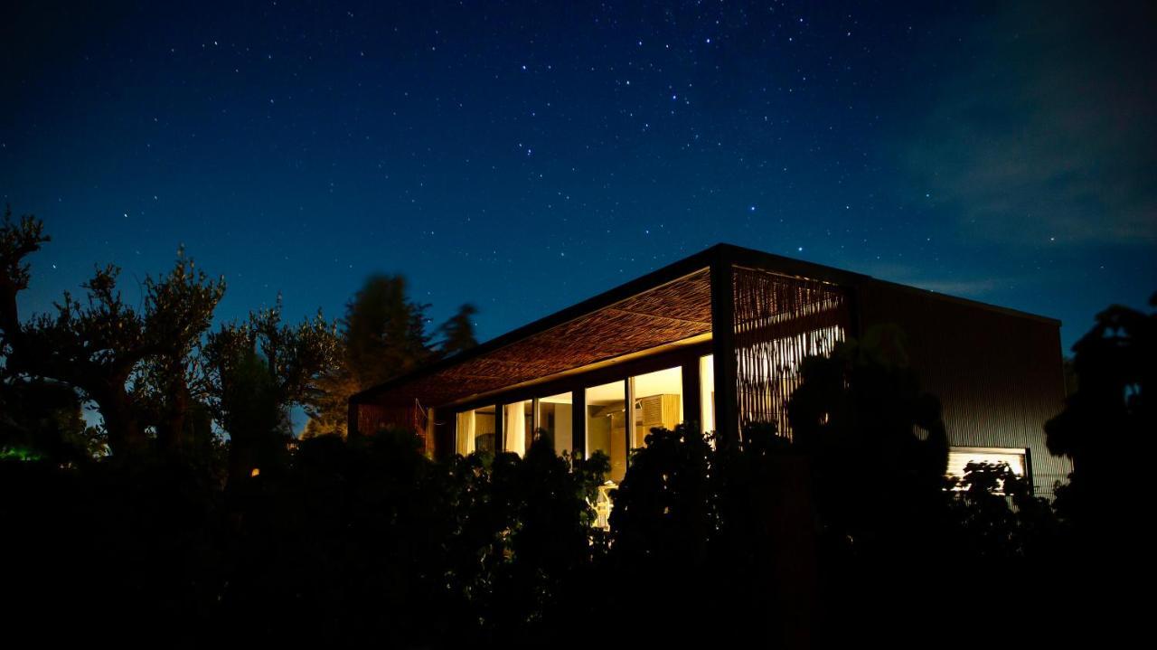 Vibo Wine Lodge At Viu Manent Santa Cruz Exterior foto